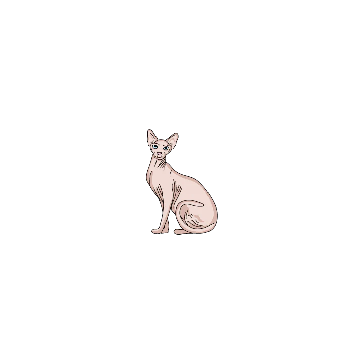 Sphynx - Image 2