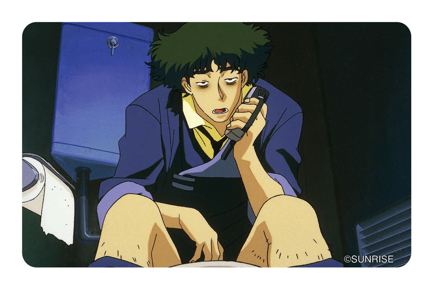 Spike on the toilet