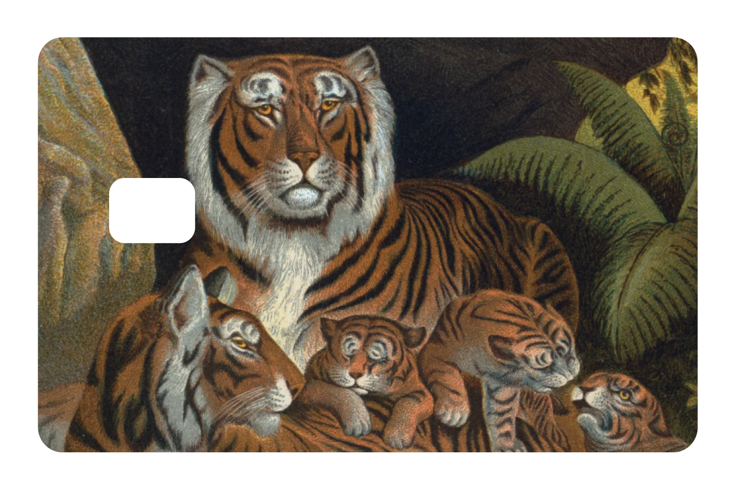 Tiger Family - Image 2