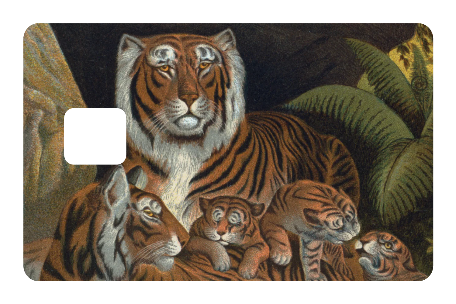 Tiger Family - Image 3