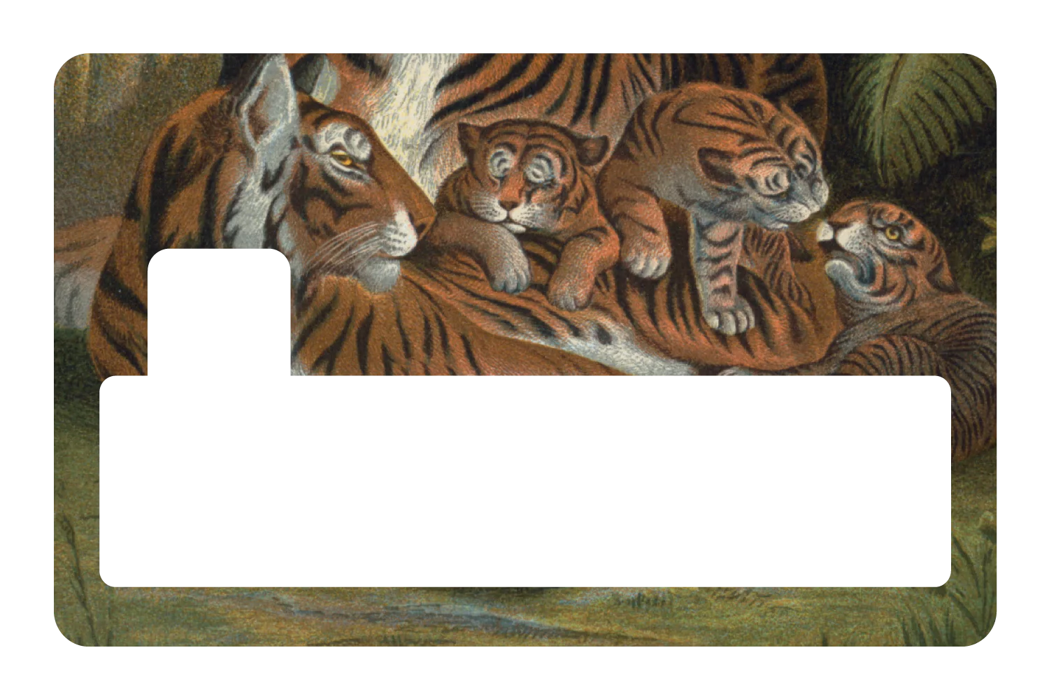 Tiger Family - Image 4