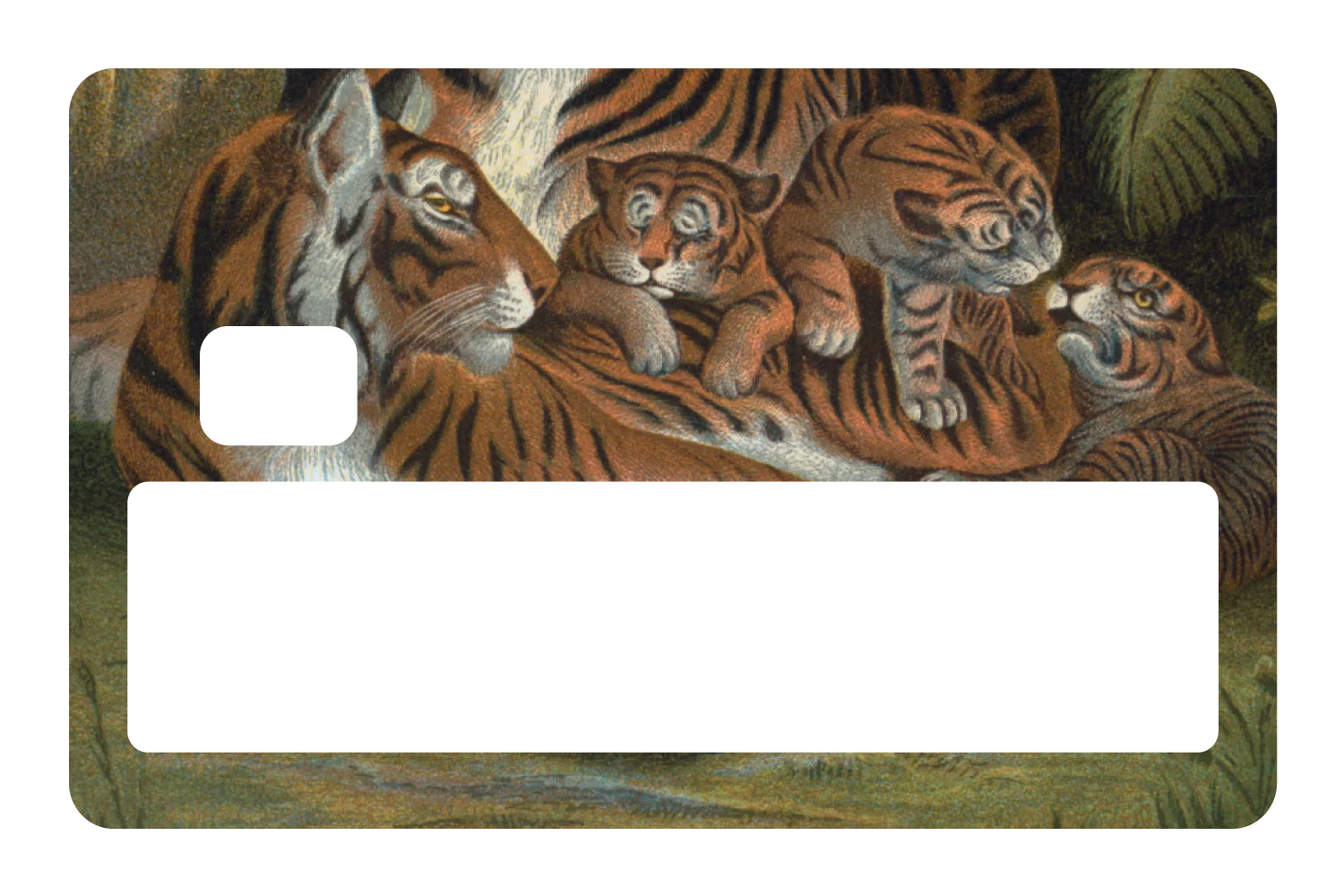 Tiger Family - Image 5