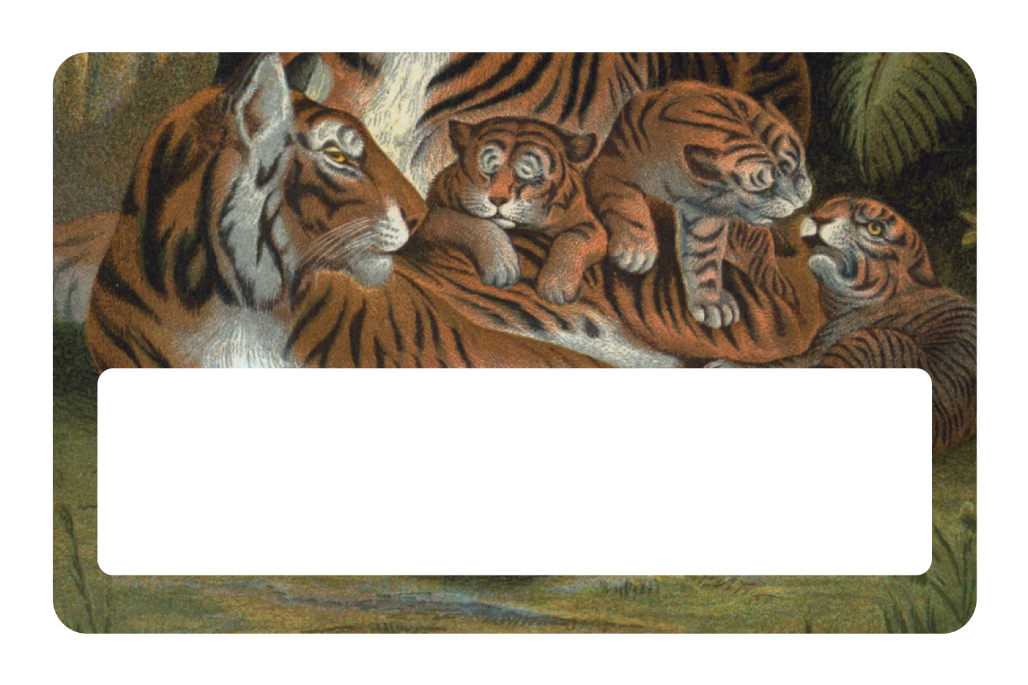 Tiger Family - Image 6