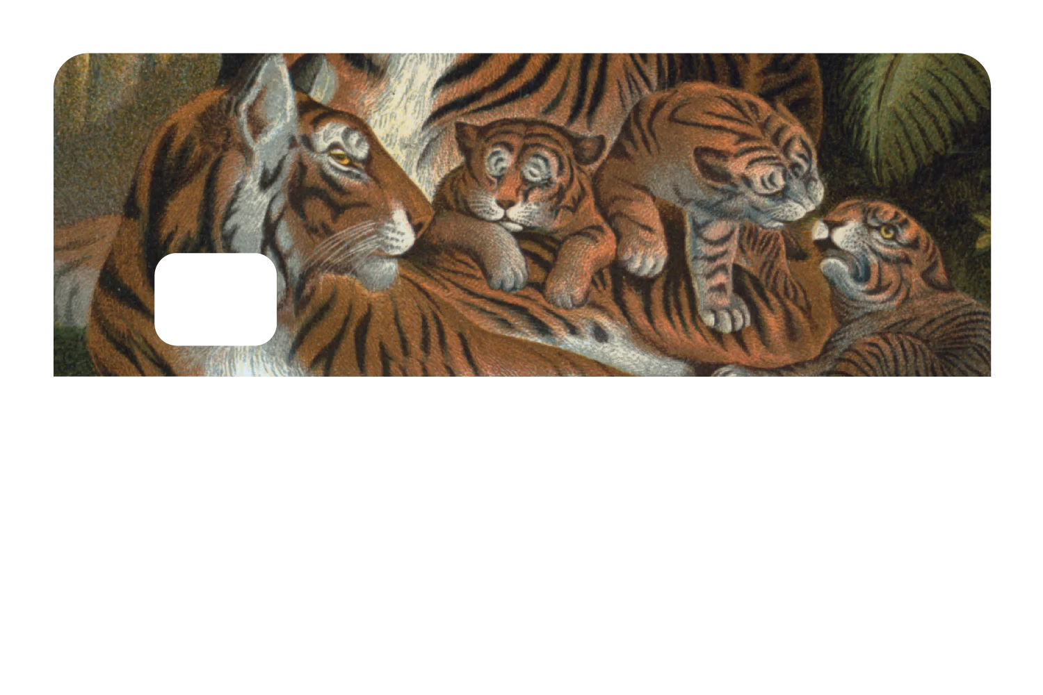 Tiger Family - Image 8