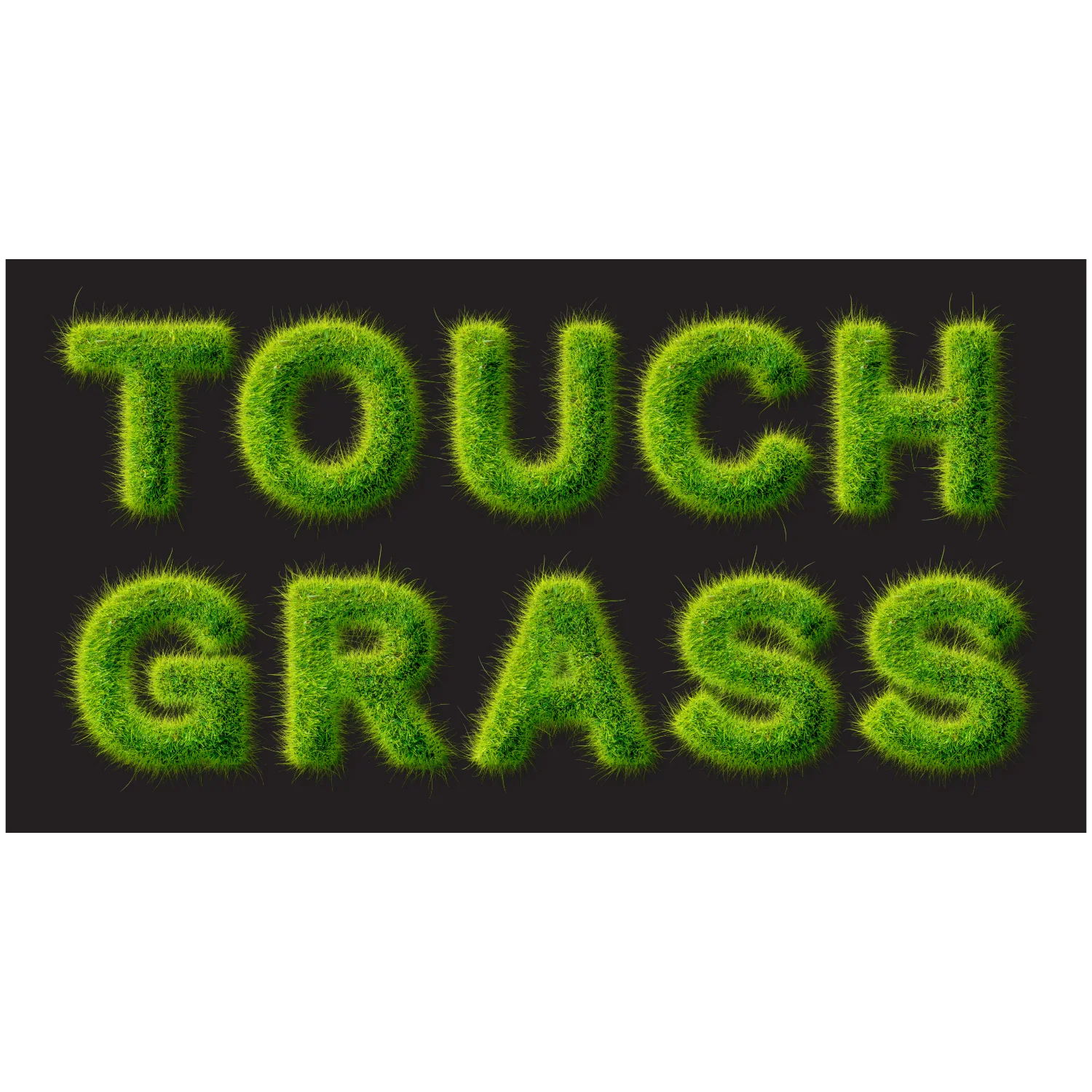 Touch Grass