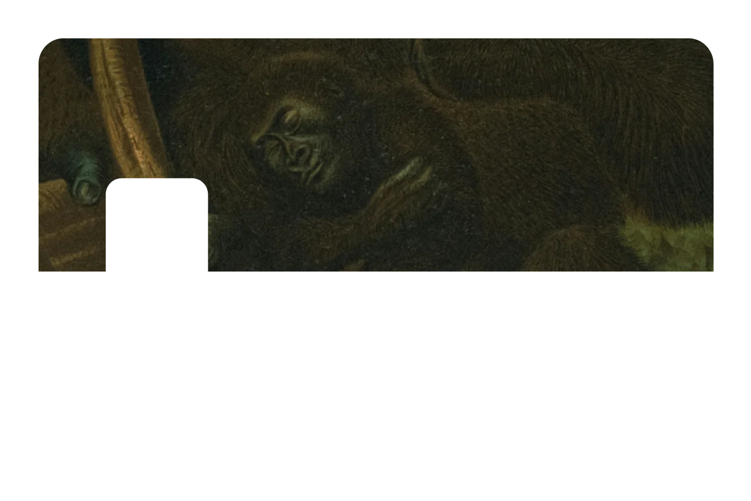 Warm & Wild - Image 7