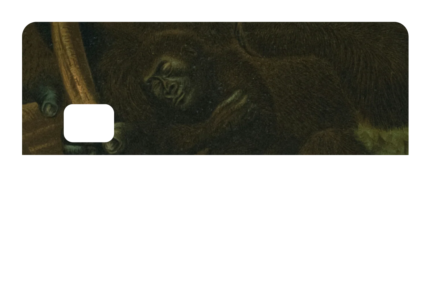 Warm & Wild - Image 8