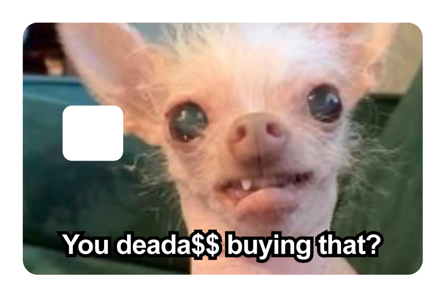 You Deada$$ - Image 3