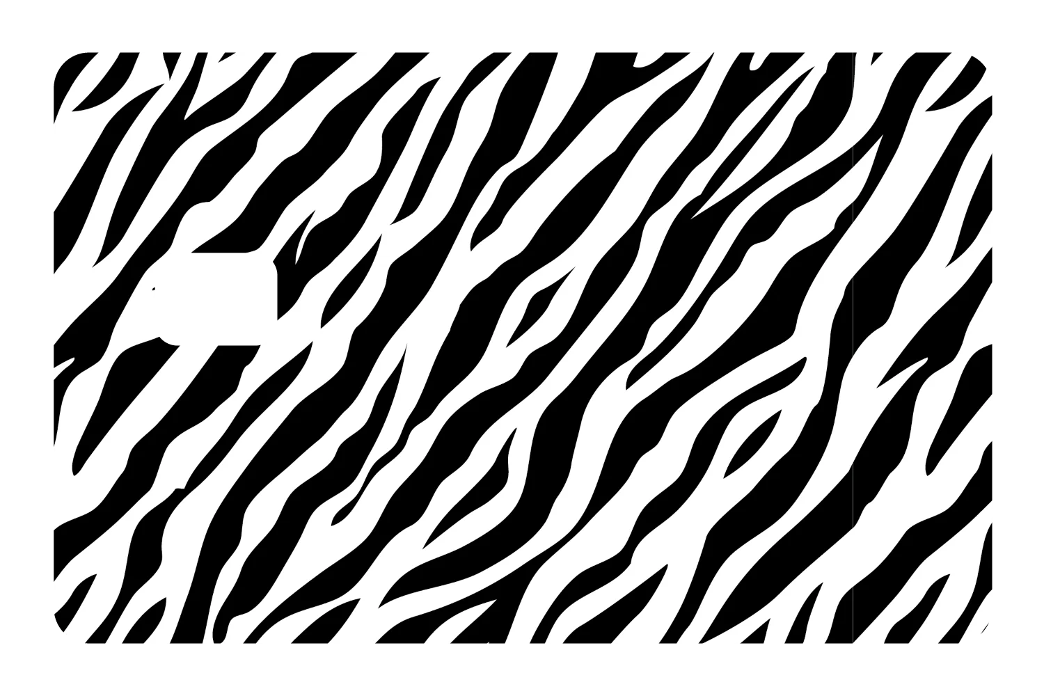 Zebra Print - Image 3
